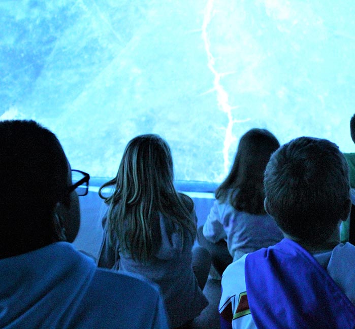 Kids sit to watch a visual light show.
